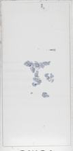 2026AP11320B1-10 macro