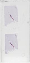 2026AP14722A15-1 macro