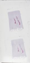 2026AP14724A1-1 macro