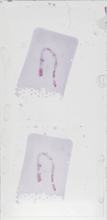 2026AP14724A2-1 macro