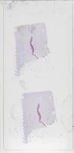 2026AP14726A13-1 macro